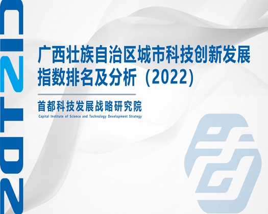 阴茎插入大嫂的屄视频【成果发布】广西壮族自治区城市科技创新发展指数排名及分析（2022）